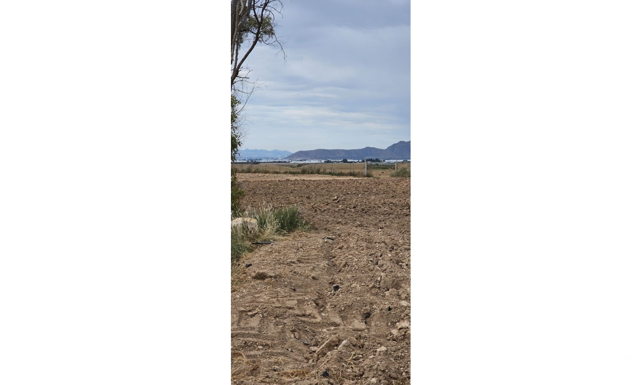 Revente - Plot - Murcia - Sucina