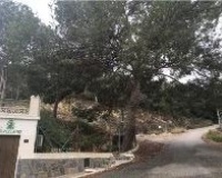 Revente - Plot - Orihuela - Desamparados-hurchillo-torremendo