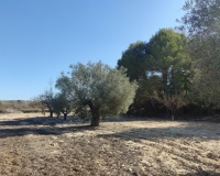 Revente - Plot - Orihuela - Torremendo