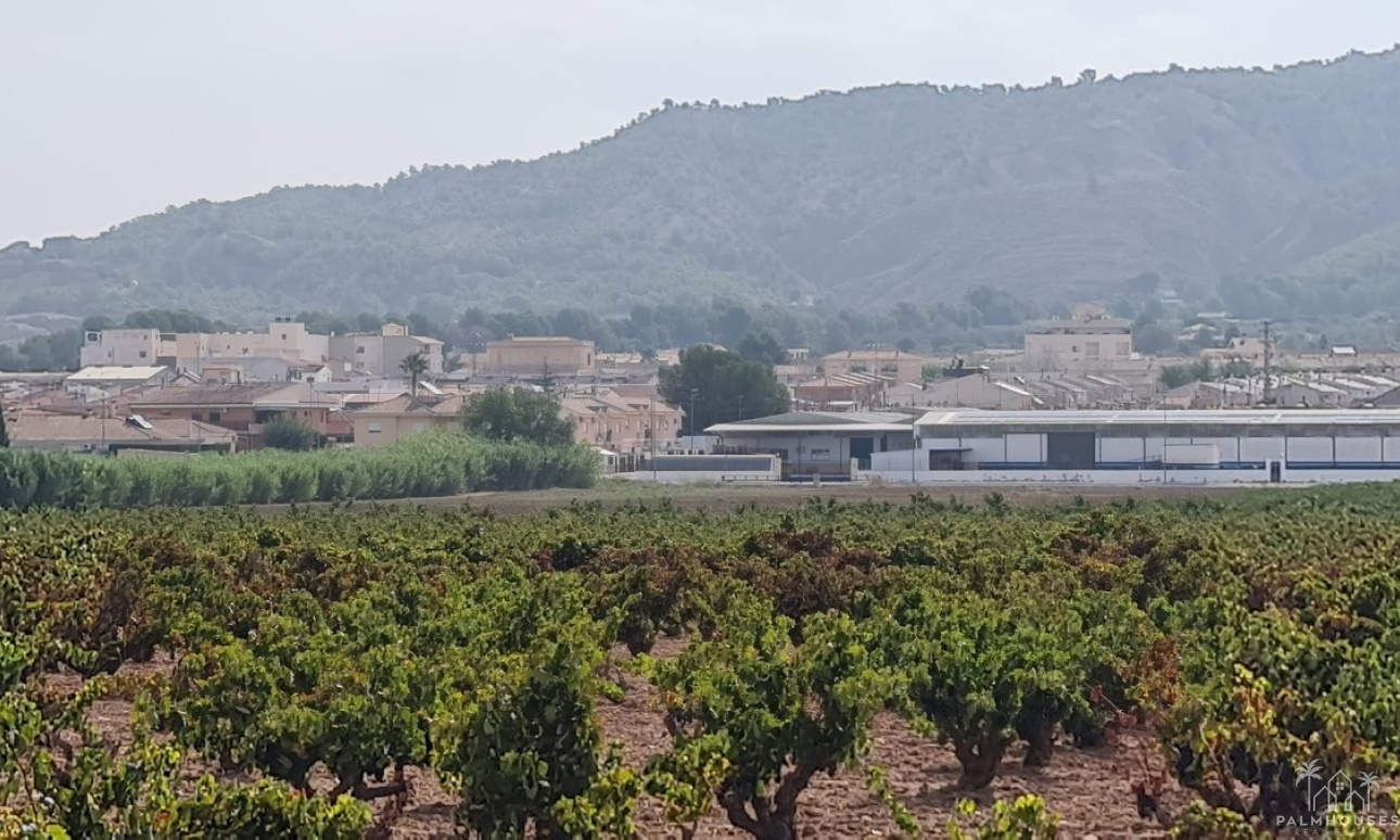 Revente - Plot - Pinoso - Pinoso Centro