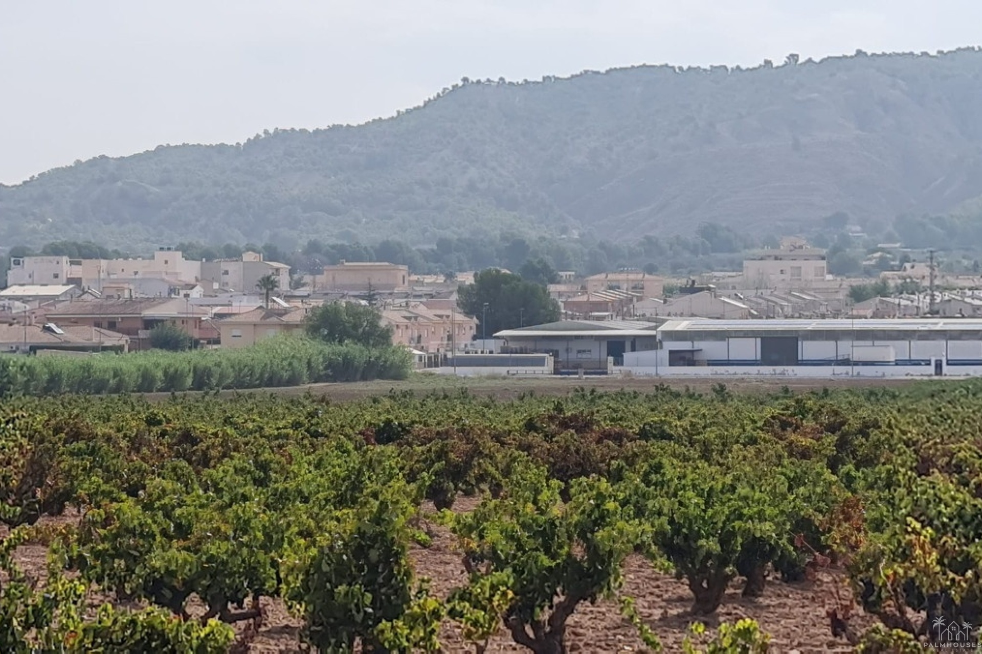 Revente - Plot - Pinoso - Pinoso Centro