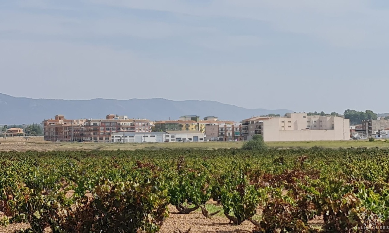 Revente - Plot - Pinoso - Pinoso Centro