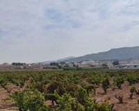 Revente - Plot - Pinoso - Pinoso Centro