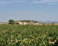 Revente - Plot - Pinoso - Pinoso Centro