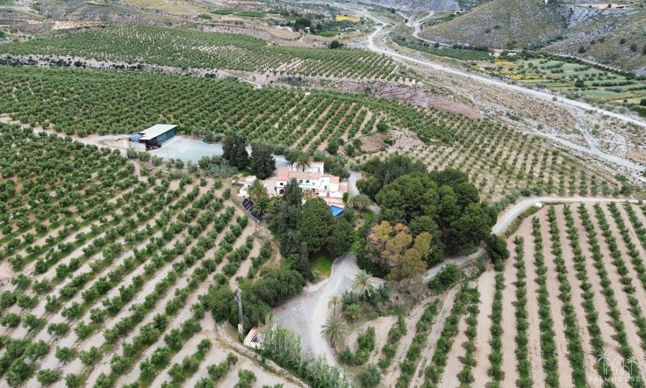 Revente - Plot - Puerto Lumbreras - Inland