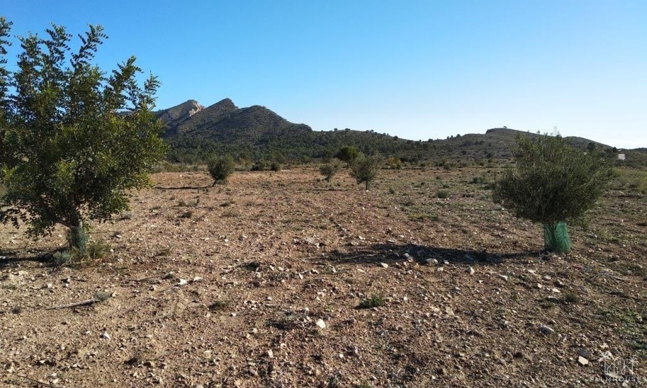 Revente - Plot - Relleu - Relleu Centro
