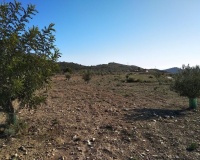 Revente - Plot - Relleu - Relleu Centro