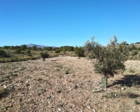 Revente - Plot - Relleu - Relleu Centro