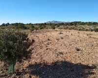 Revente - Plot - Relleu - Relleu Centro