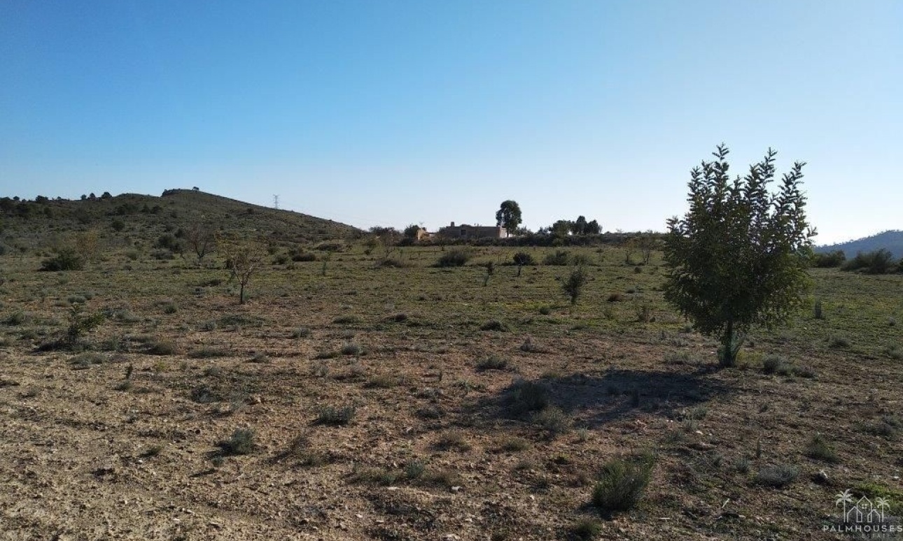 Revente - Plot - Relleu - Relleu Centro