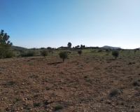 Revente - Plot - Relleu - Relleu Centro