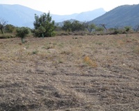 Revente - Plot - Relleu - Relleu Centro