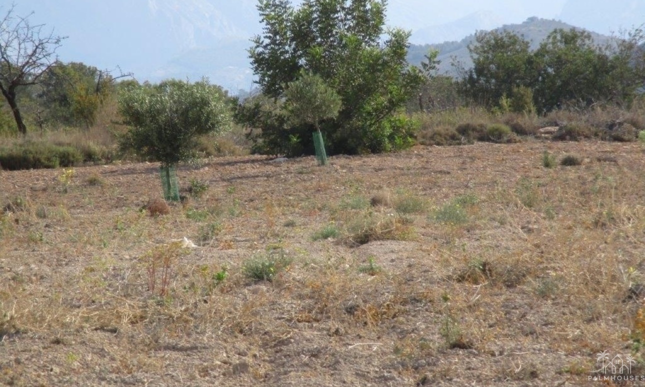 Revente - Plot - Relleu - Relleu Centro