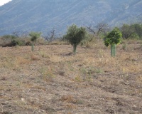 Revente - Plot - Relleu - Relleu Centro