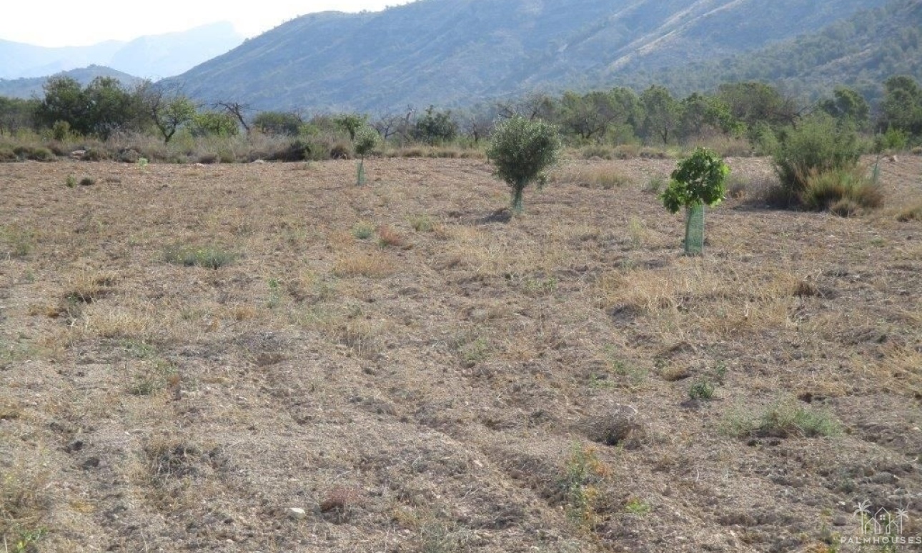 Revente - Plot - Relleu - Relleu Centro