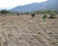 Revente - Plot - Relleu - Relleu Centro