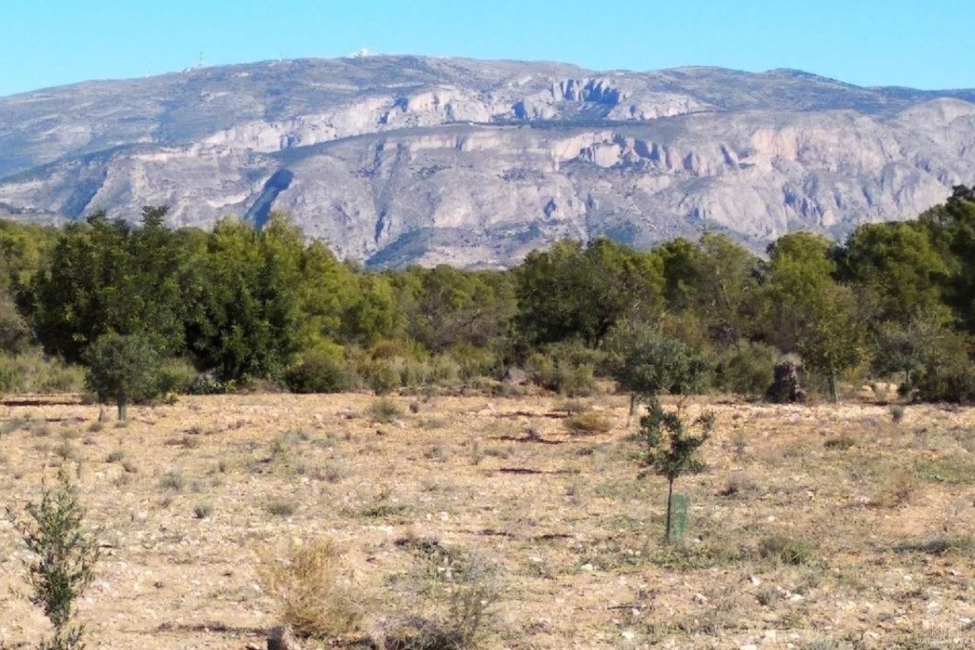 Revente - Plot - Relleu - Relleu Centro
