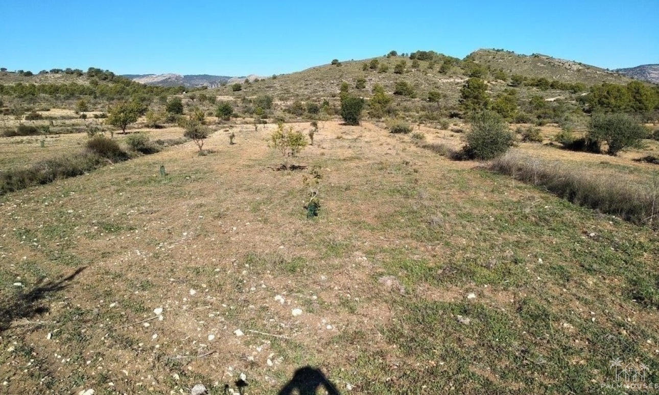 Revente - Plot - Relleu - Relleu Centro