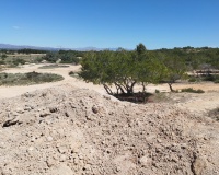 Revente - Plot - San Fulgencio - La Marina