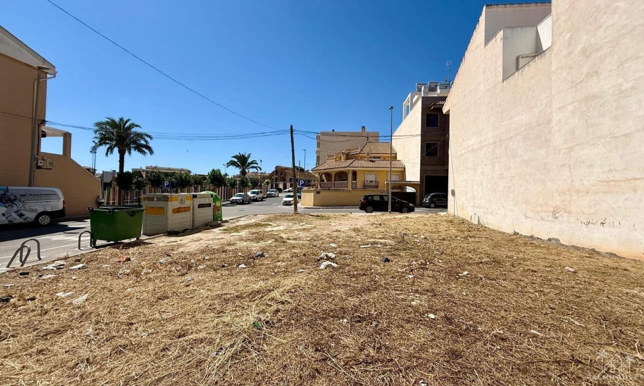 Revente - Plot - San Miguel de Salinas - CENTRO URBANO