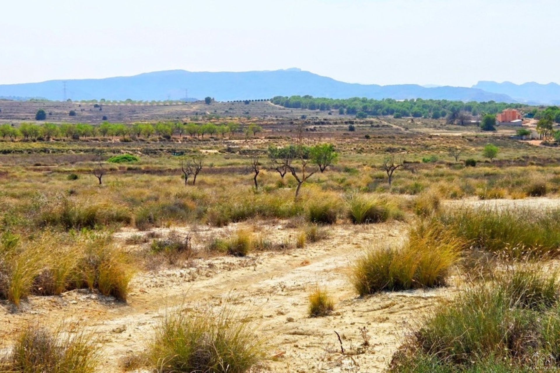 Revente - Plot - San Miguel de Salinas - San Miguel de Salinas Centro