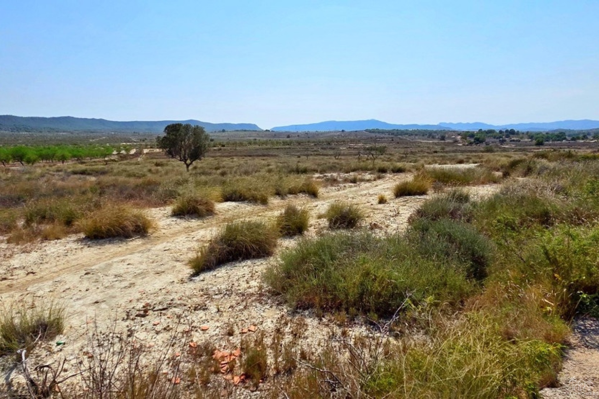 Revente - Plot - San Miguel de Salinas - San Miguel de Salinas Centro