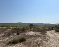 Revente - Plot - San Miguel de Salinas - San Miguel de Salinas Centro