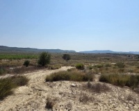 Revente - Plot - San Miguel de Salinas - San Miguel de Salinas Centro