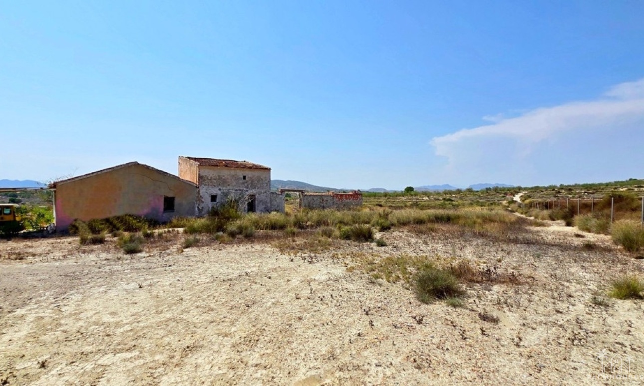 Revente - Plot - San Miguel de Salinas - San Miguel de Salinas Centro