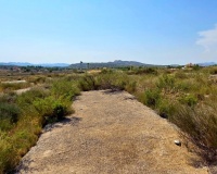 Revente - Plot - San Miguel de Salinas - San Miguel de Salinas Centro