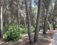 Revente - Plot - Teulada - Moraira