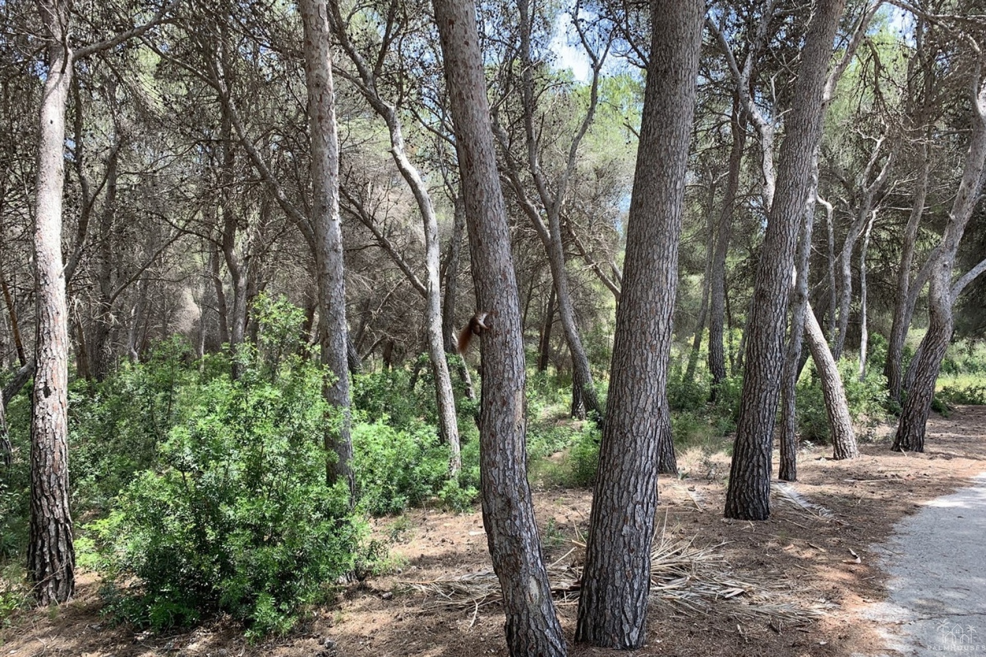 Revente - Plot - Teulada - Moraira