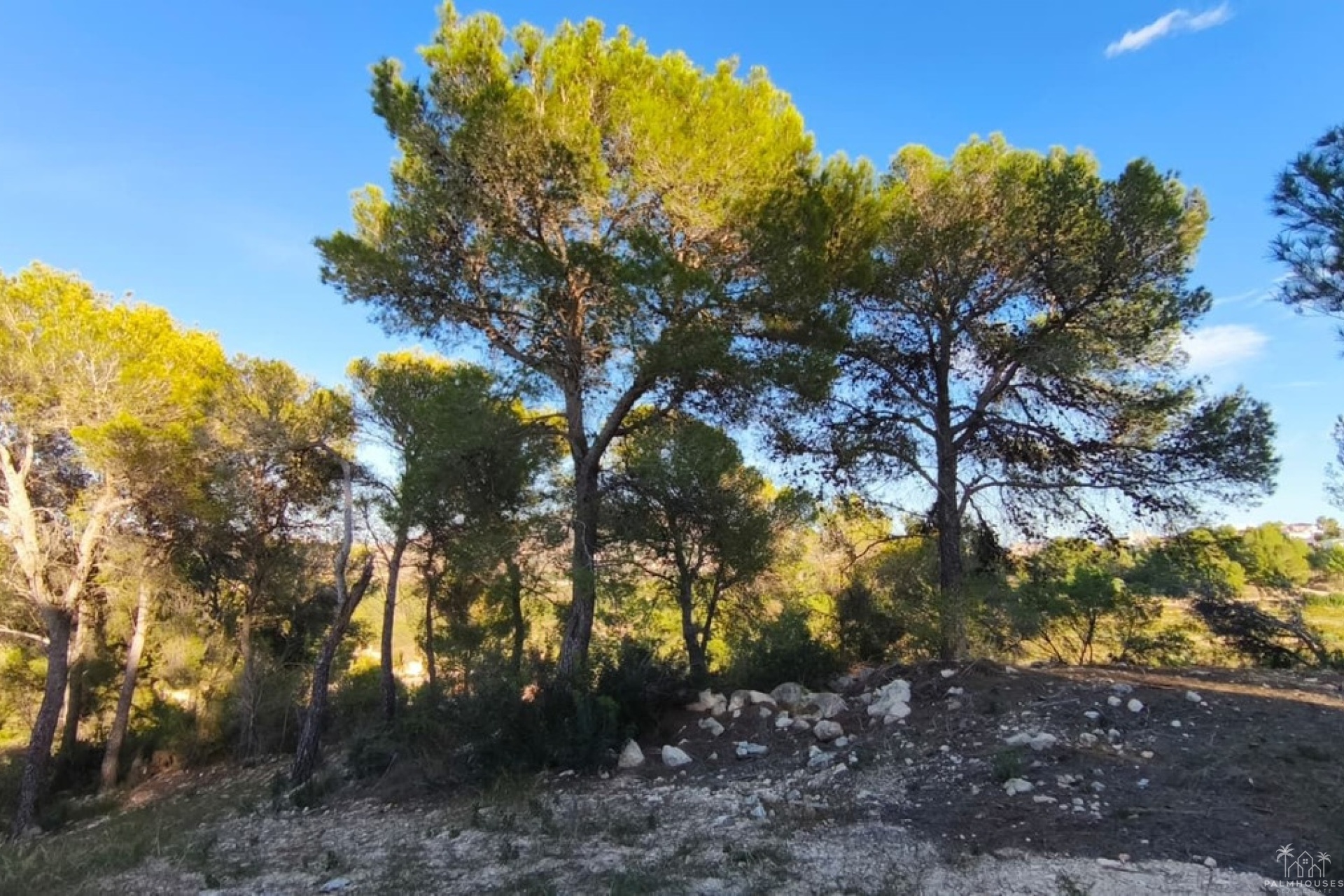 Revente - Plot - Teulada - Teulada Centro