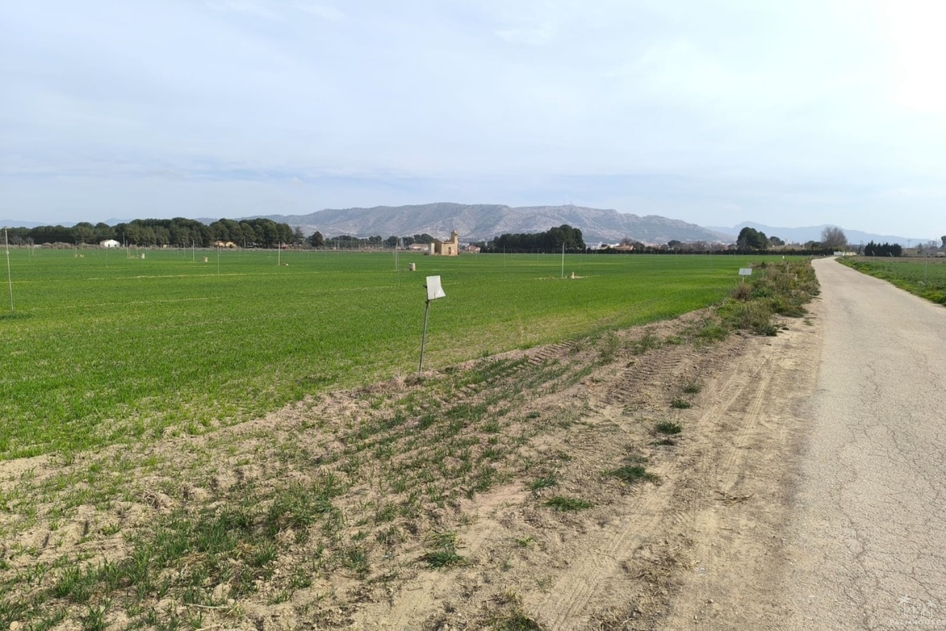 Revente - Plot - Villena - Villena Centro
