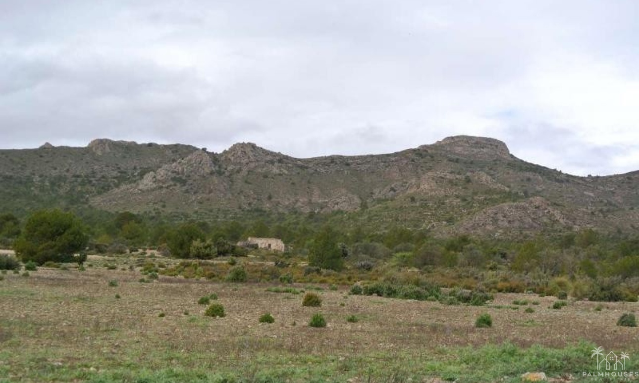 Revente - Plot - Yecla - Yecla Centro
