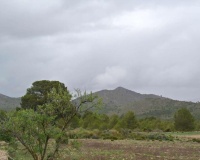 Revente - Plot - Yecla - Yecla Centro