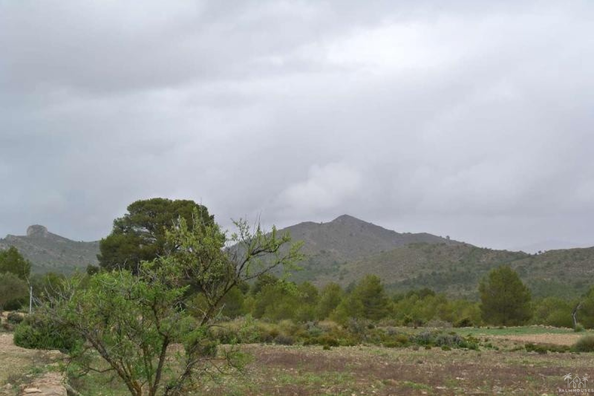 Revente - Plot - Yecla - Yecla Centro