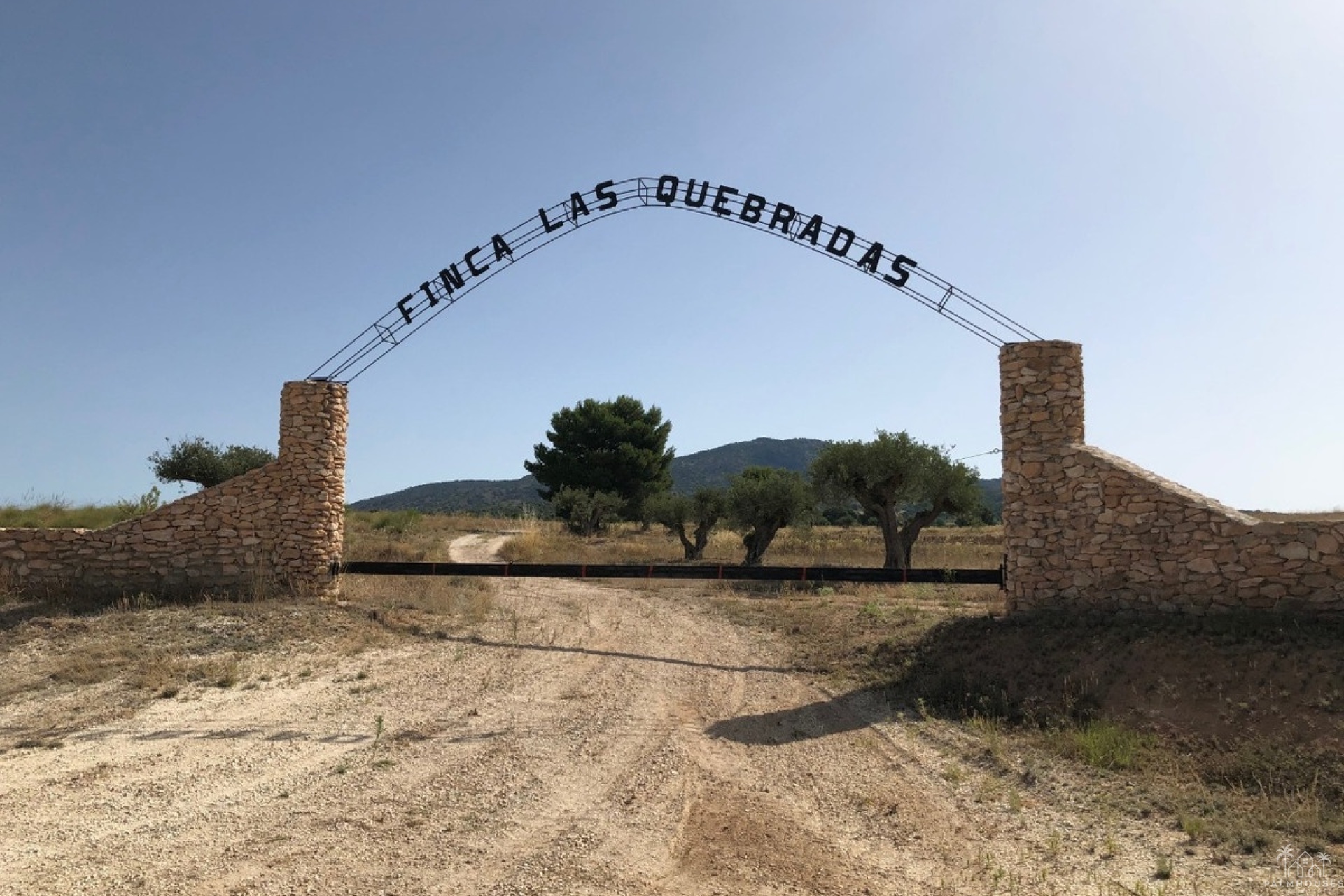 Revente - Plot - Yecla - Yecla Centro