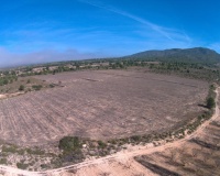 Revente - Plot - Yecla - Yecla Centro