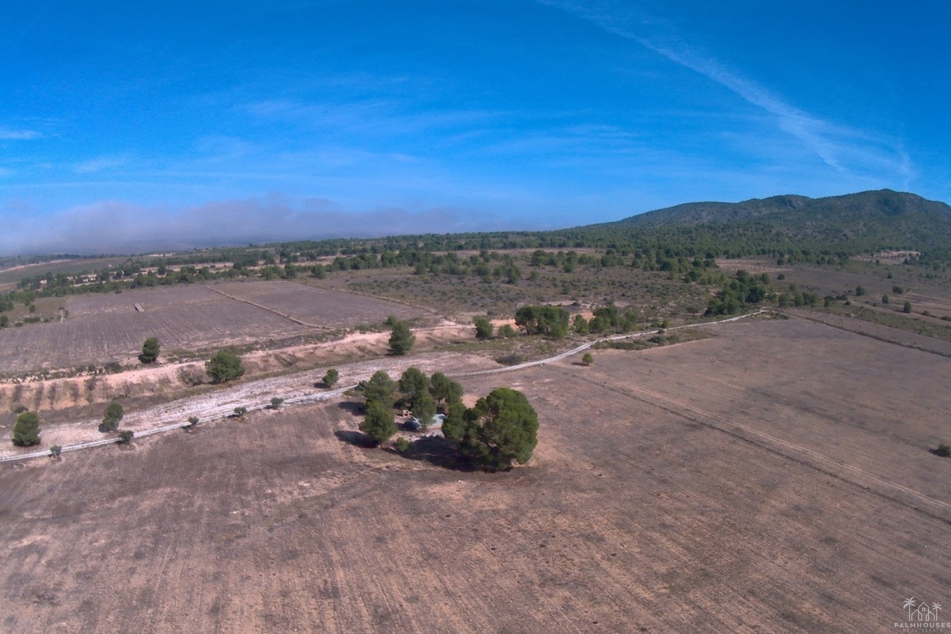 Revente - Plot - Yecla - Yecla Centro