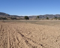 Revente - Plot - Yecla - Yecla Centro