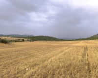 Revente - Plot - Yecla - Yecla Centro