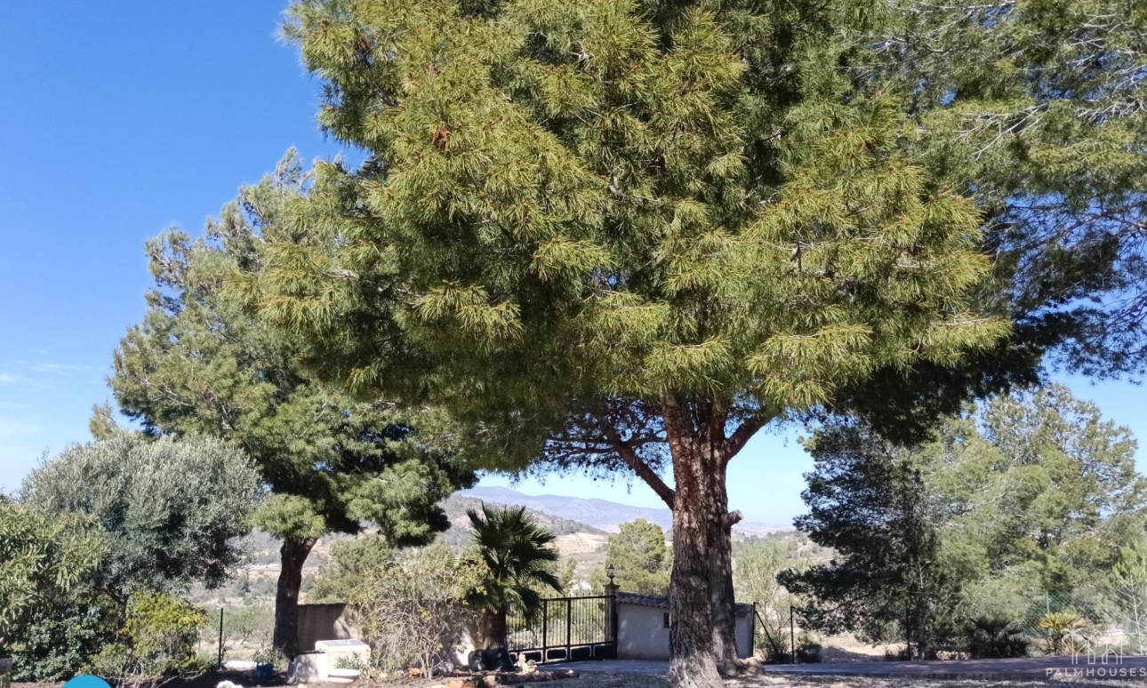 Revente - Villa - Abanilla