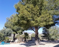 Revente - Villa - Abanilla