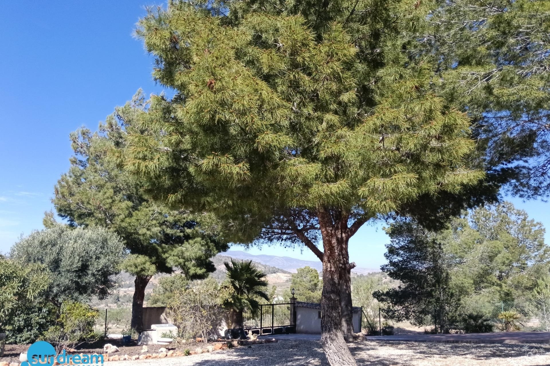 Revente - Villa - Abanilla