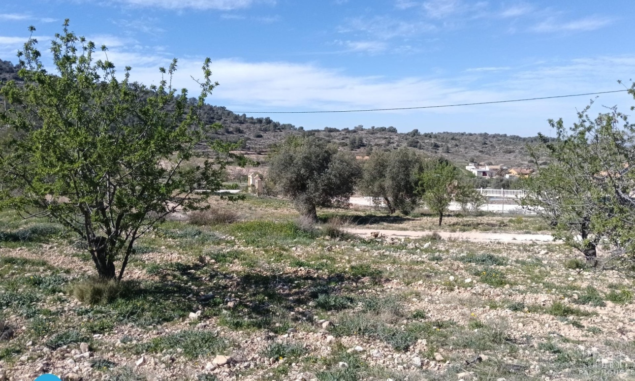 Revente - Villa - Abanilla