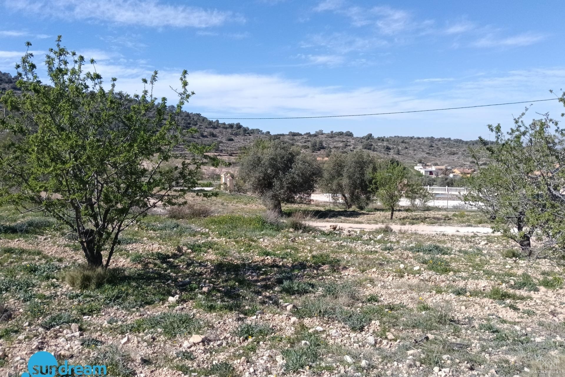 Revente - Villa - Abanilla