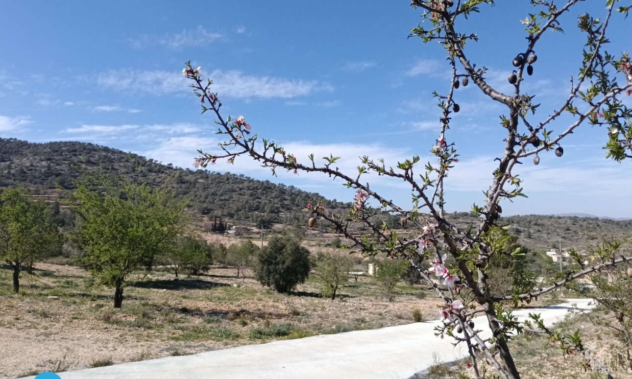 Revente - Villa - Abanilla