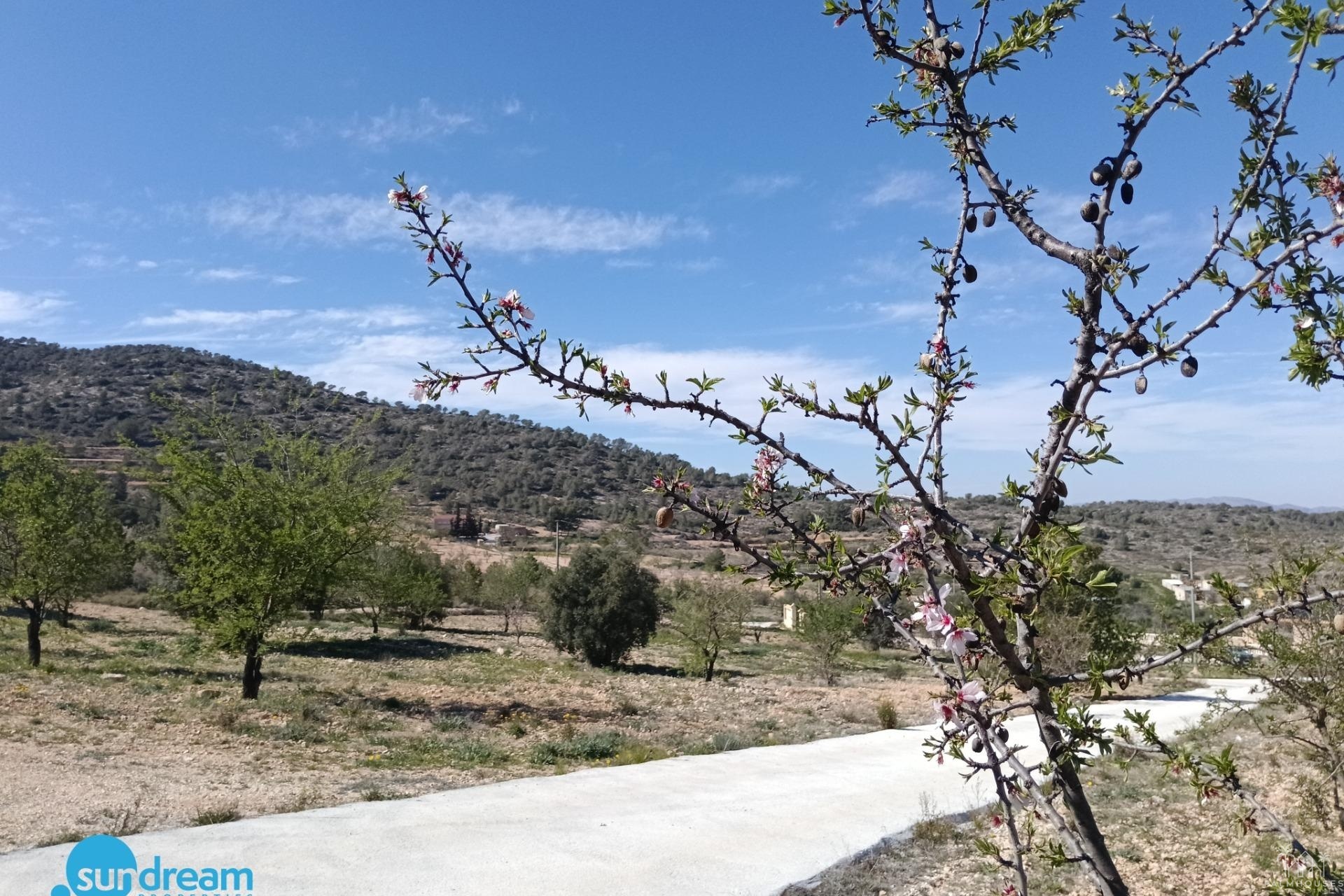 Revente - Villa - Abanilla