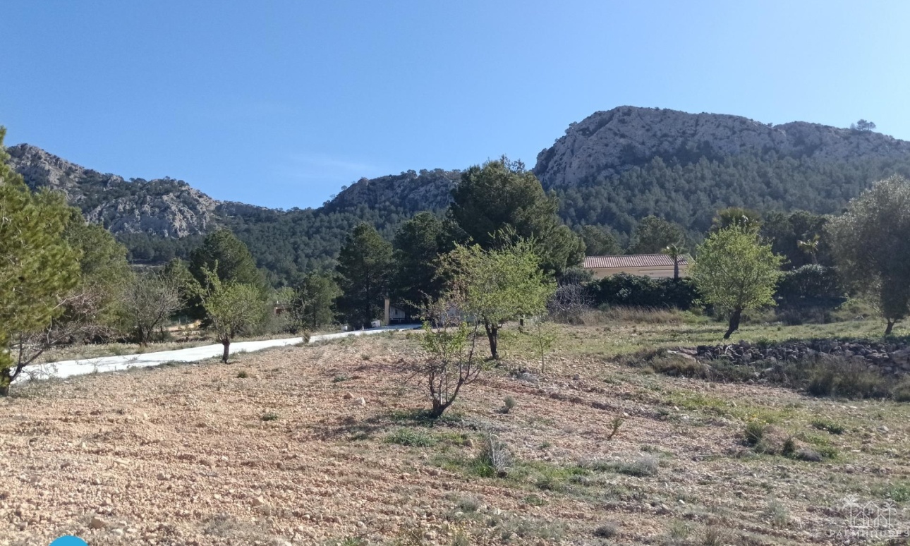 Revente - Villa - Abanilla